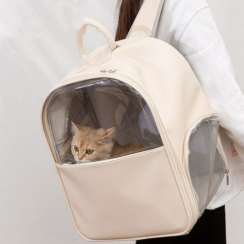 Sac à dos transparent pour animaux avec chat à l'intérieur, idéal pour les sorties avec animaux de compagnie.