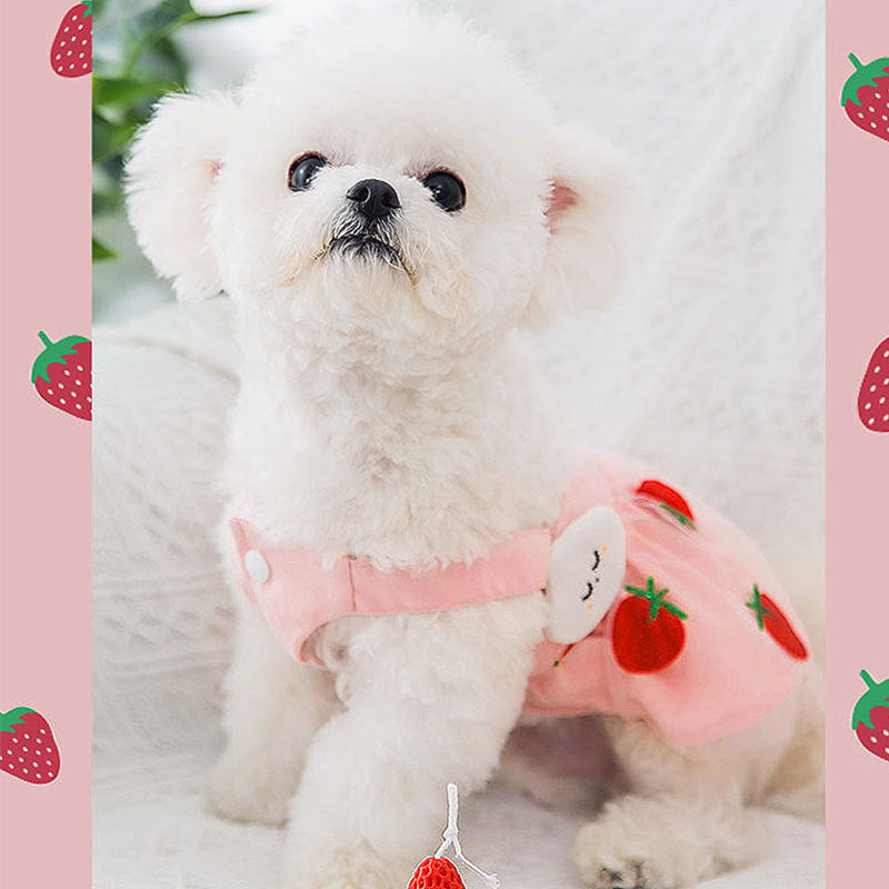 Chien mignon portant une robe princesse fraise rose, parfaite pour l'été et le confort.