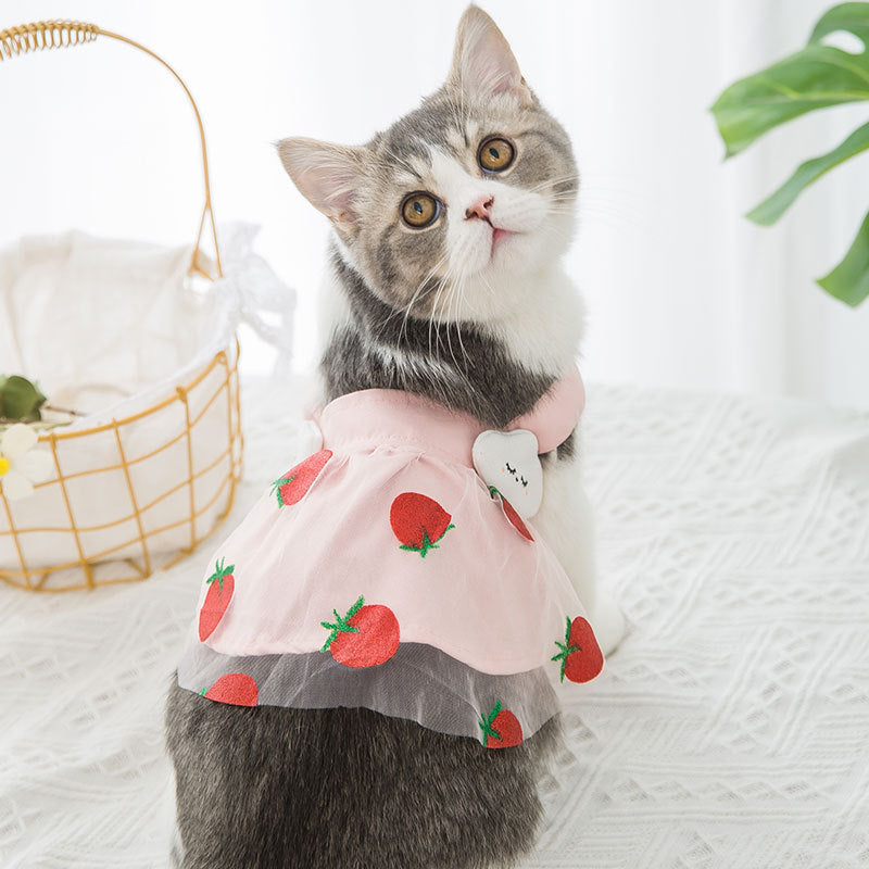 Chat portant une robe princesse fraise rose, parfaite pour les journées d'été, style adorable et confortable.