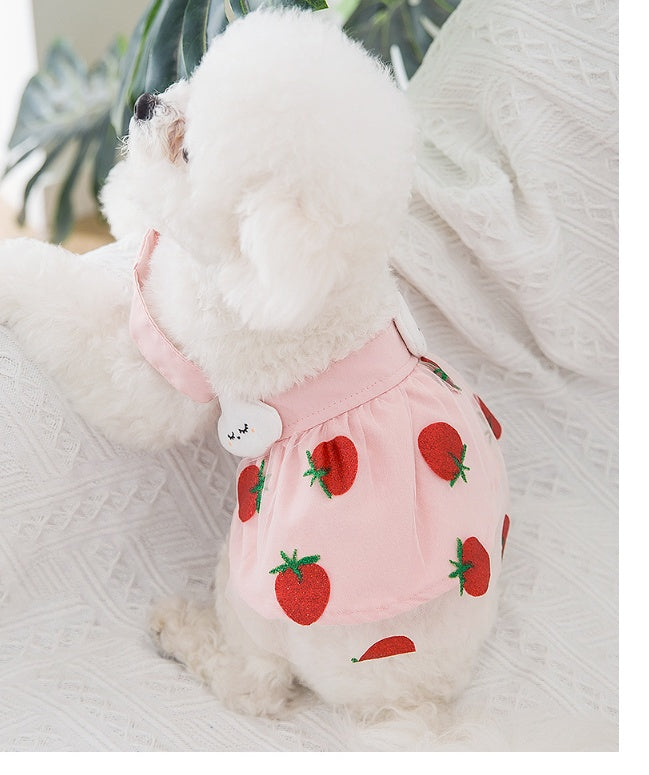 Chien portant une robe princesse fraise en tissu léger, parfaite pour les journées d'été.