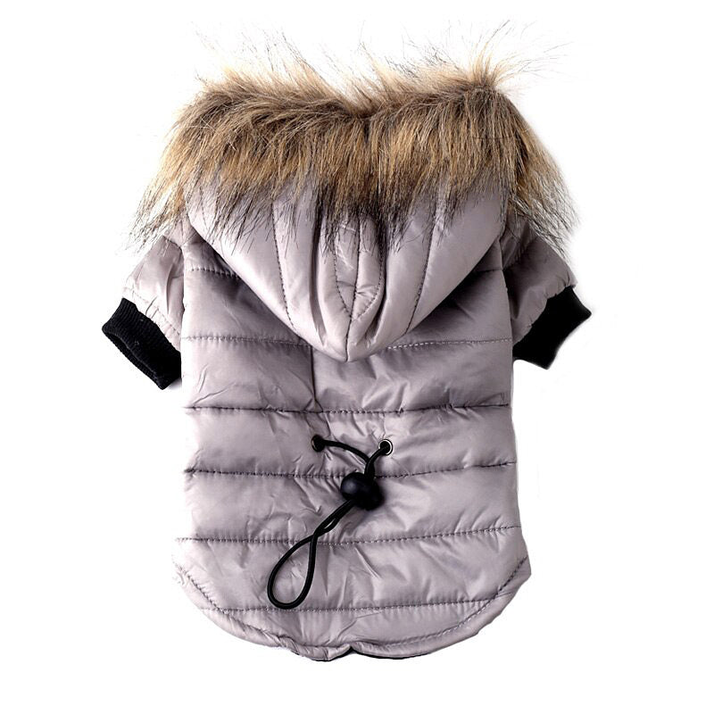 Pull d'automne et hiver pour animaux avec capuche et fourrure, conçu pour garder votre chien au chaud.