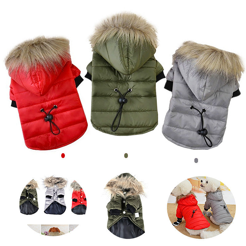 Pull d'automne et hiver pour animaux avec capuche, disponible en rouge, vert et gris, confortable et chaud.