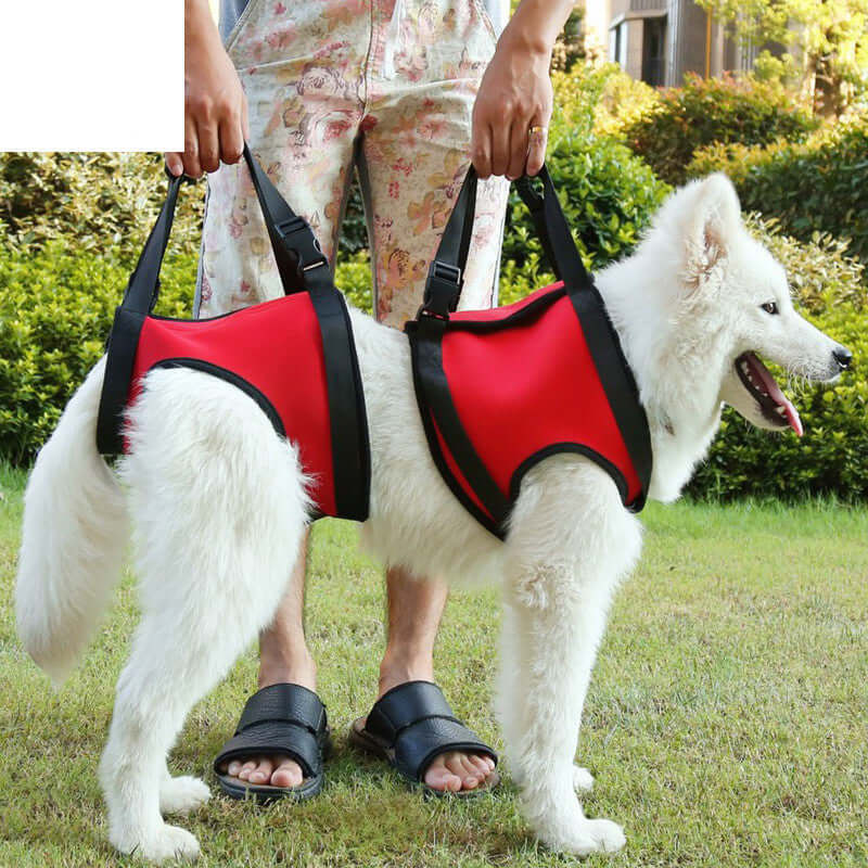 Ceinture d'assistance pour chien rouge, idéale pour les chiens âgés ou à mobilité réduite, utilisée en extérieur.