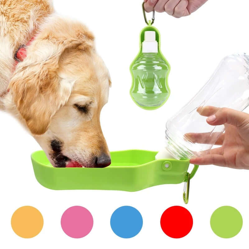 Chien buvant à une gourde portable verte avec distributeur d'eau, idéal pour les randonnées et voyages.