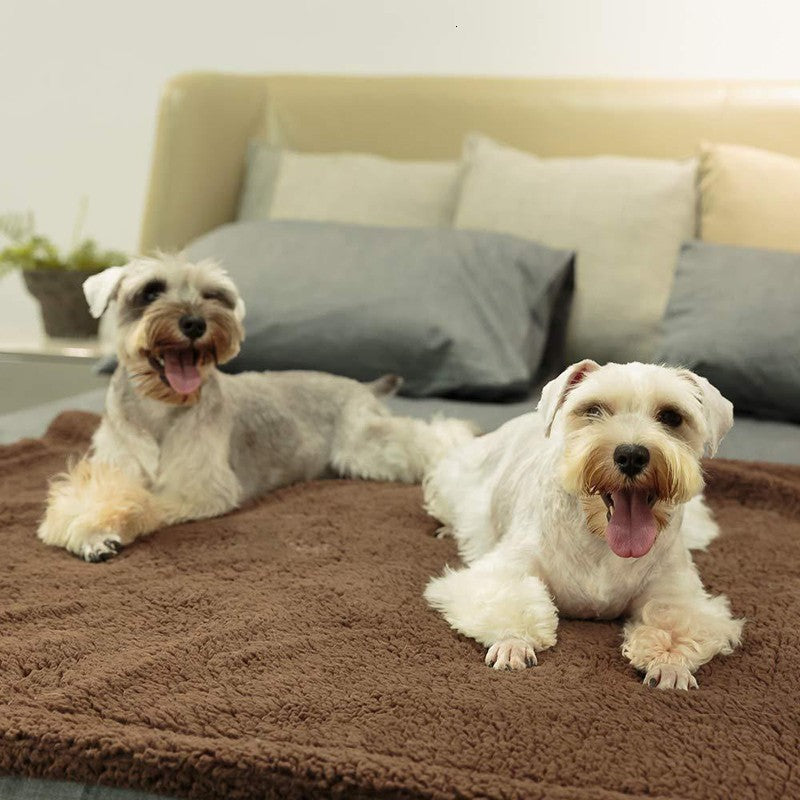 Couverture Douillette pour Animaux - Matelas Chien et Chat