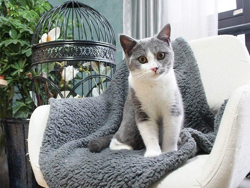 Couverture Douillette pour Animaux - Matelas Chien et Chat