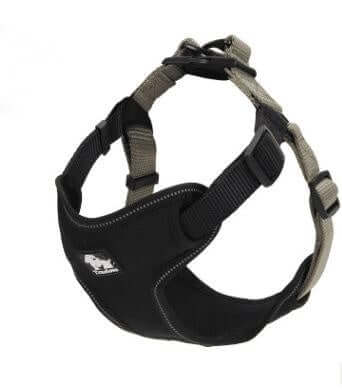 Harnais de poitrine réfléchissant pour chien en nylon et néoprène, offrant confort et sécurité lors des promenades.