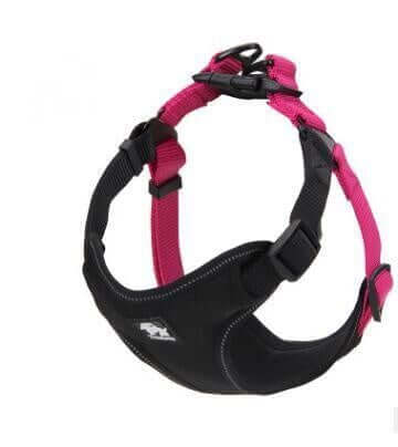 Harnais de poitrine réfléchissant pour chien en nylon noir et rose, offrant confort et sécurité lors des promenades.