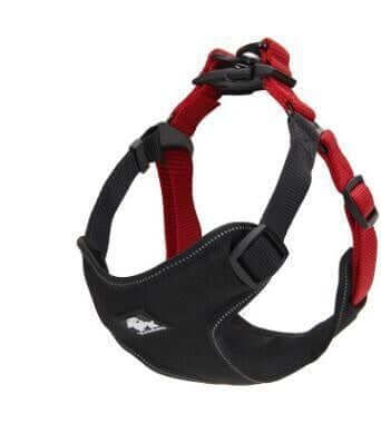 Harnais de poitrine réfléchissant pour chien en nylon et néoprène, confort et sécurité pour les promenades.