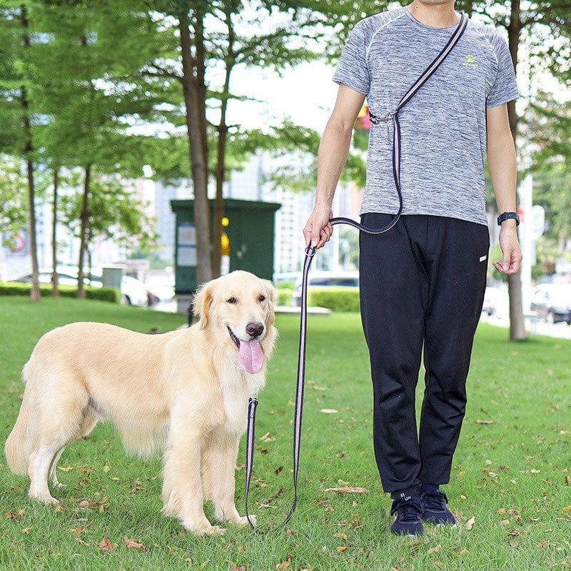 Homme promenant un golden retriever avec une laisse multifonctionnelle en nylon dans un parc verdoyant.