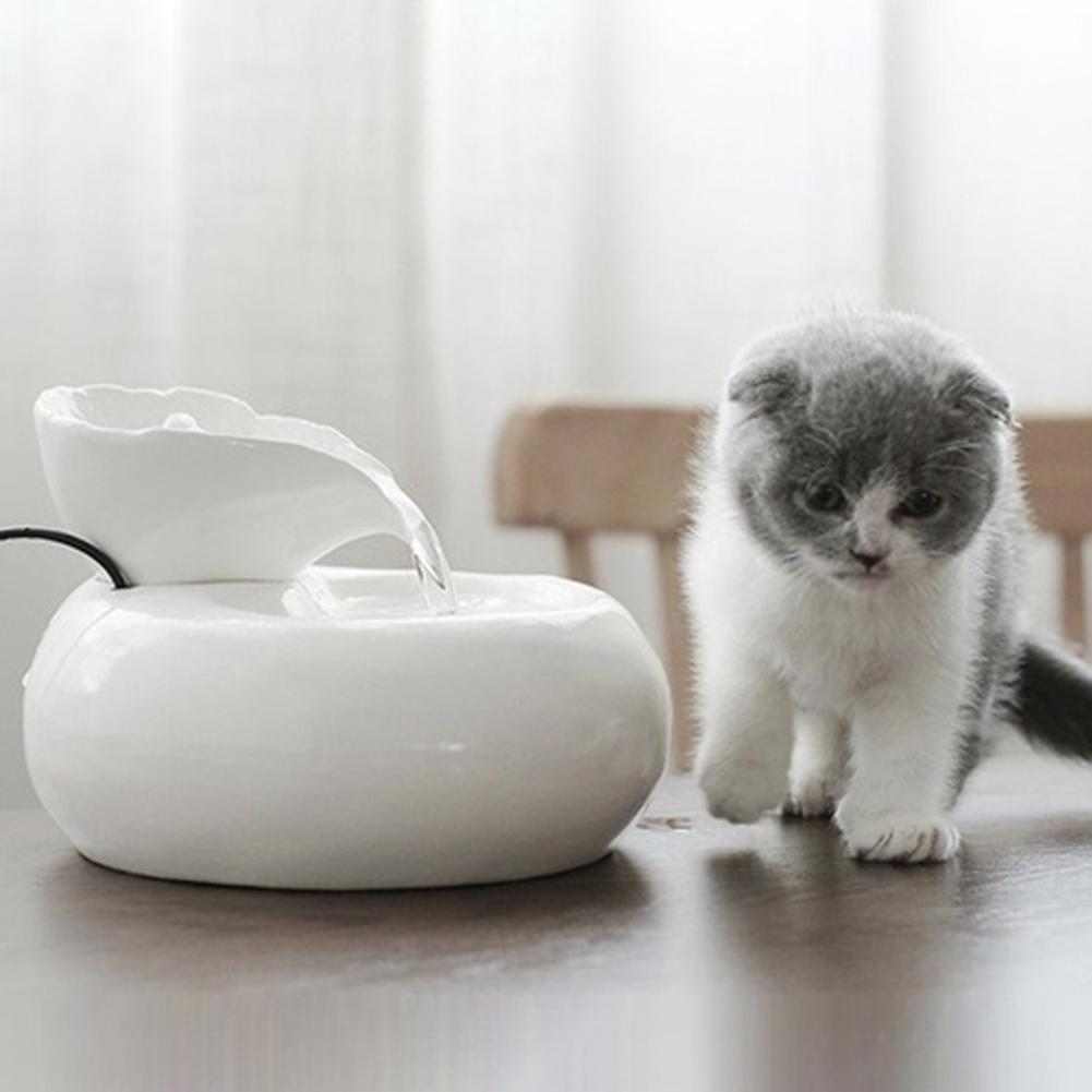 Fontaine à eau automatique pour chats Jane Yu Home avec un chaton curieux à côté.