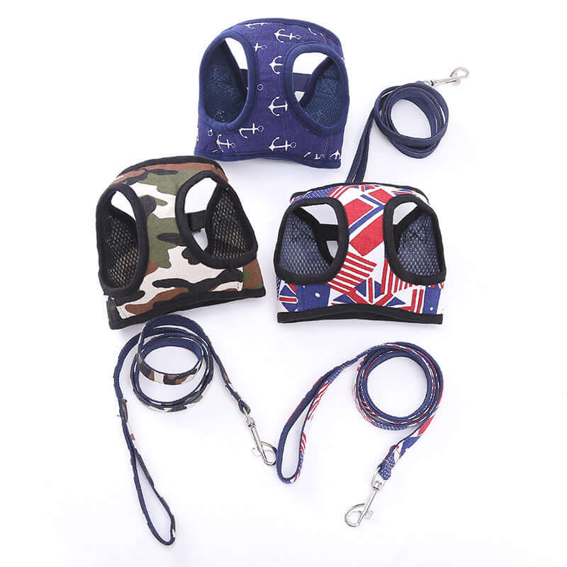 Harnais de traction pour chien avec motifs variés, accompagné de laisses assorties, idéal pour le confort et le contrôle.