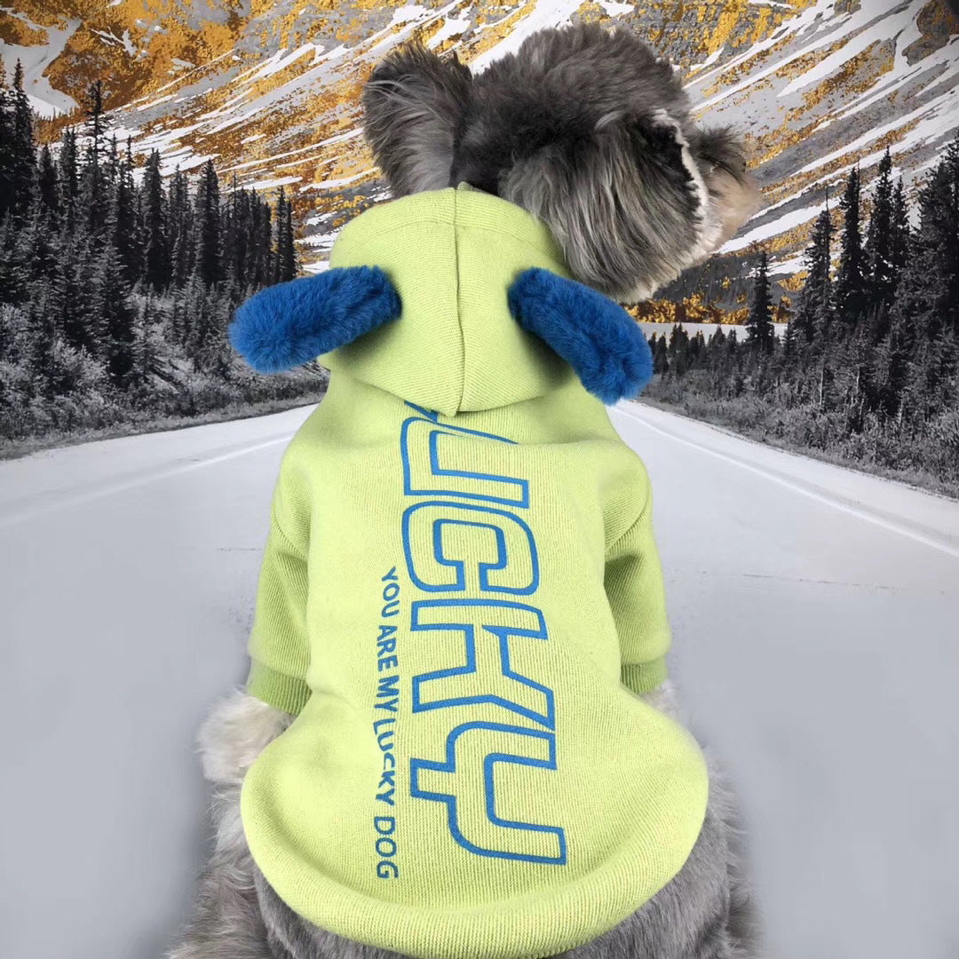 Pull en coton pour chiens vert avec texte "LUCKY" sur le dos, parfait pour l'automne et l'hiver.