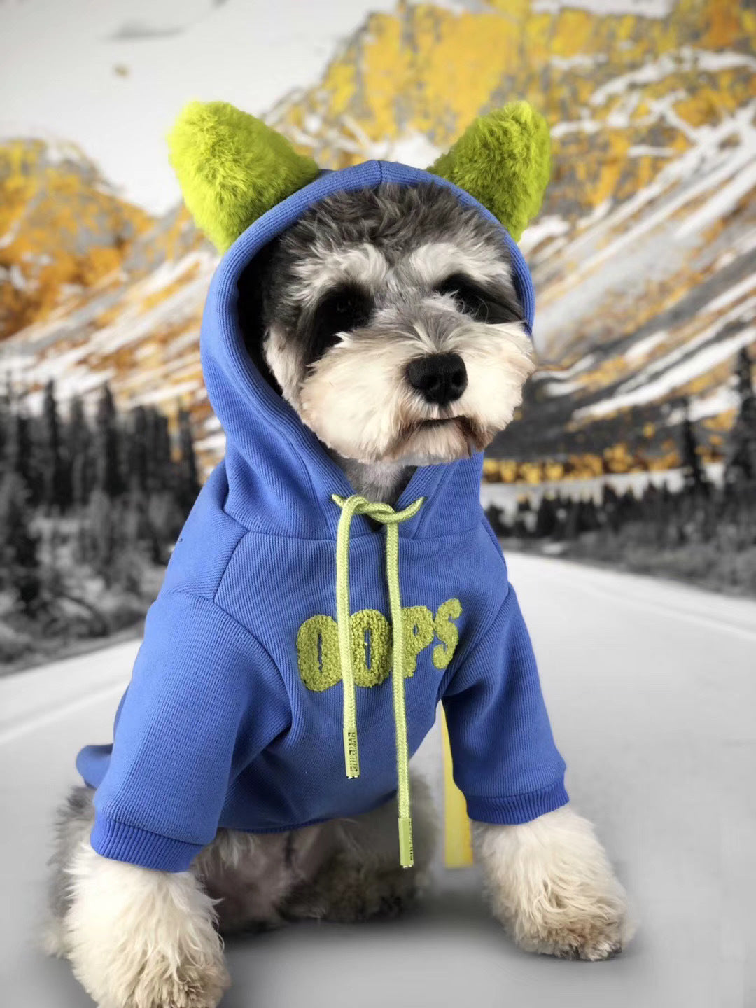 Chien portant un pull en coton bleu avec capuche verte, parfait pour l'automne et l'hiver.