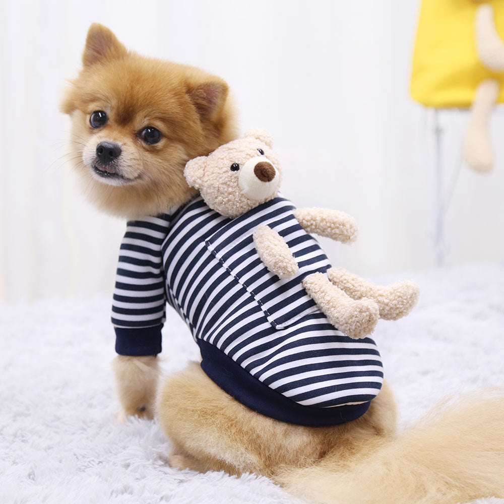 Petit chien Pomeranien portant un pull à rayures avec un ourson en peluche sur le dos.