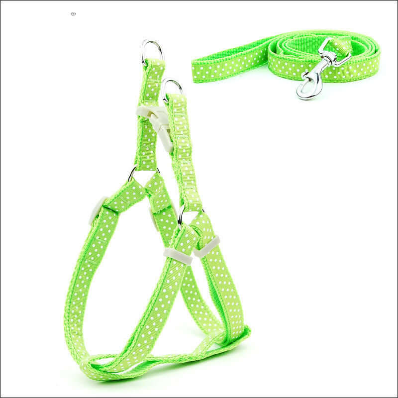 Laisse pour animaux à pois verte avec harnais et sangle de poitrine pour chiens de petite taille.