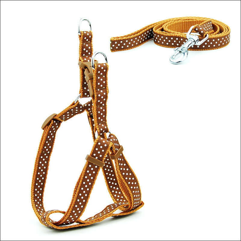 Laisse pour animaux à pois orange et harnais pour chien, adapté pour petites et moyennes tailles, design élégant.