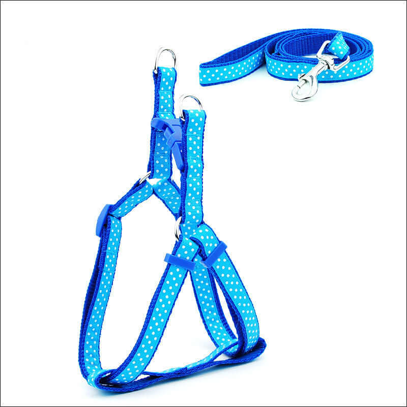Laisse pour animaux à pois bleue avec harnais de poitrine pour chiens de petites et moyennes tailles.