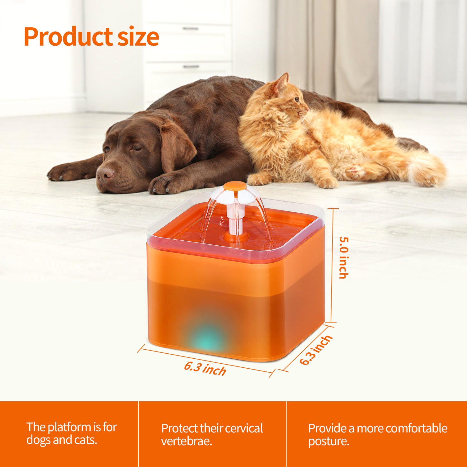 Distributeur d'eau automatique pour animaux avec dimensions, design pratique et moderne pour chiens et chats.