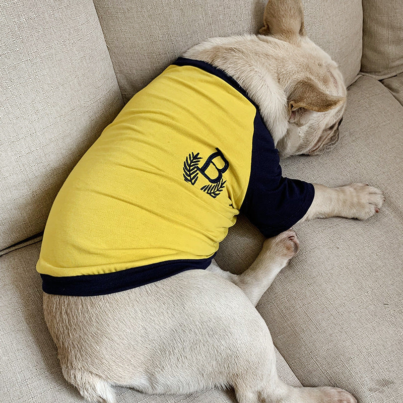 Chien de race bulldog français portant un t-shirt à manches courtes jaune et bleu, confort assuré pour une sortie décontractée.