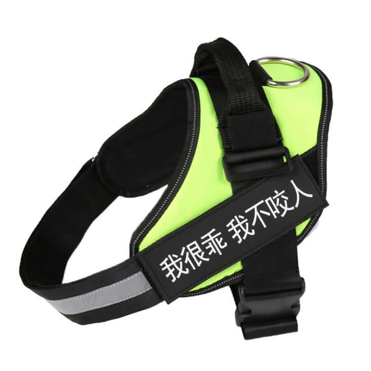 Harnais pour chien en nylon avec laisse, couleur vive, idéal pour le confort et la sécurité lors des promenades.