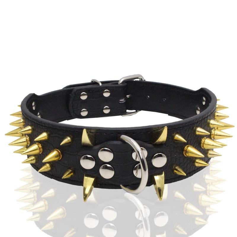 Collier pour chien en cuir noir avec pointes dorées, accessoire résistant et stylé pour animaux.
