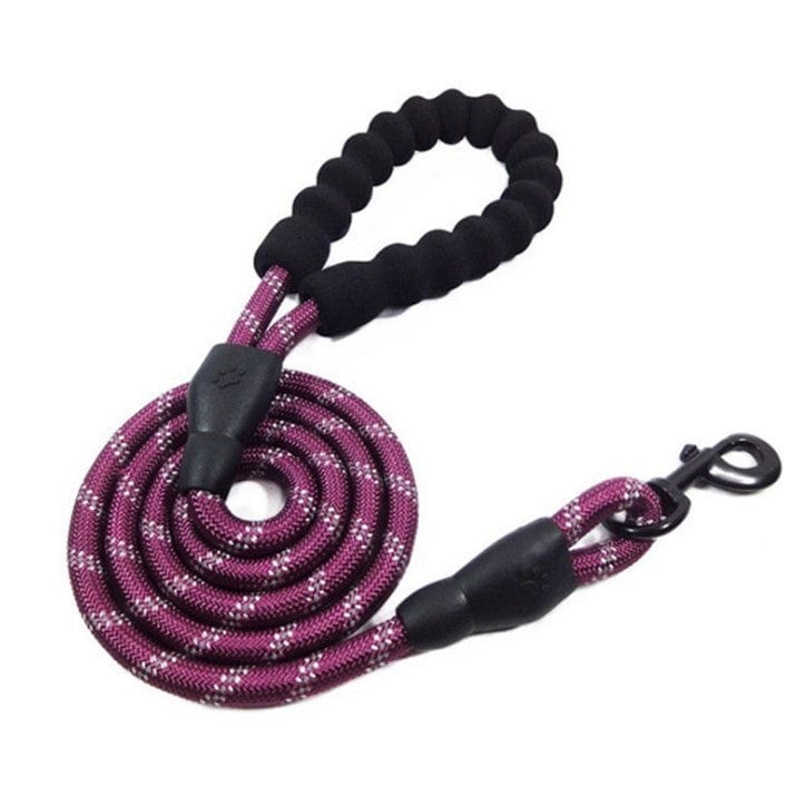 Corde de traction réfléchissante en nylon pour animaux, légère et résistante, idéale pour les promenades en toute sécurité.