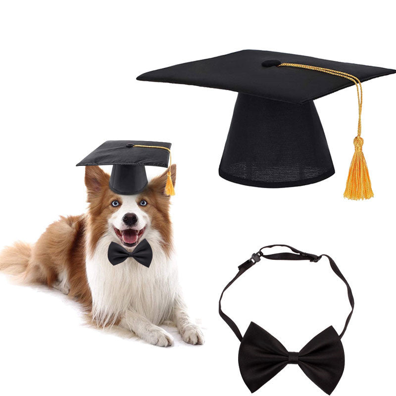 Chapeau de docteur pour animaux avec nœud papillon sur un chien, idéal pour cérémonies et fêtes à thème.