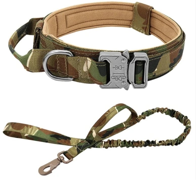 Collier tactique en nylon camouflage avec laisse assortie pour chien actif, alliant confort et sécurité.