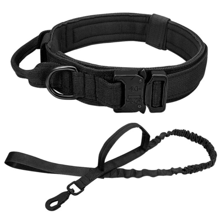 Collier Tactique en Nylon pour chien avec laisse élastique, robuste et confortable, parfait pour les aventures en plein air.