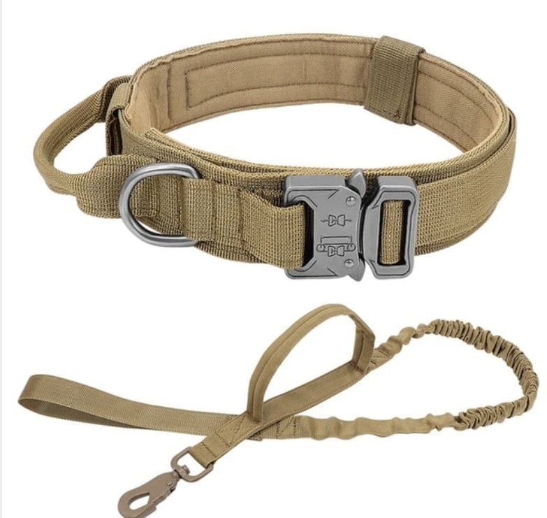 Collier tactique en nylon pour chien, robuste et confortable, idéal pour les aventures en plein air.