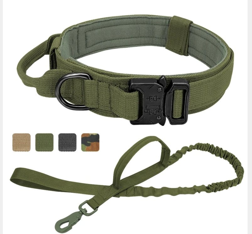 Collier tactique en nylon pour chien avec laisse, durable et confortable pour les aventures en plein air.