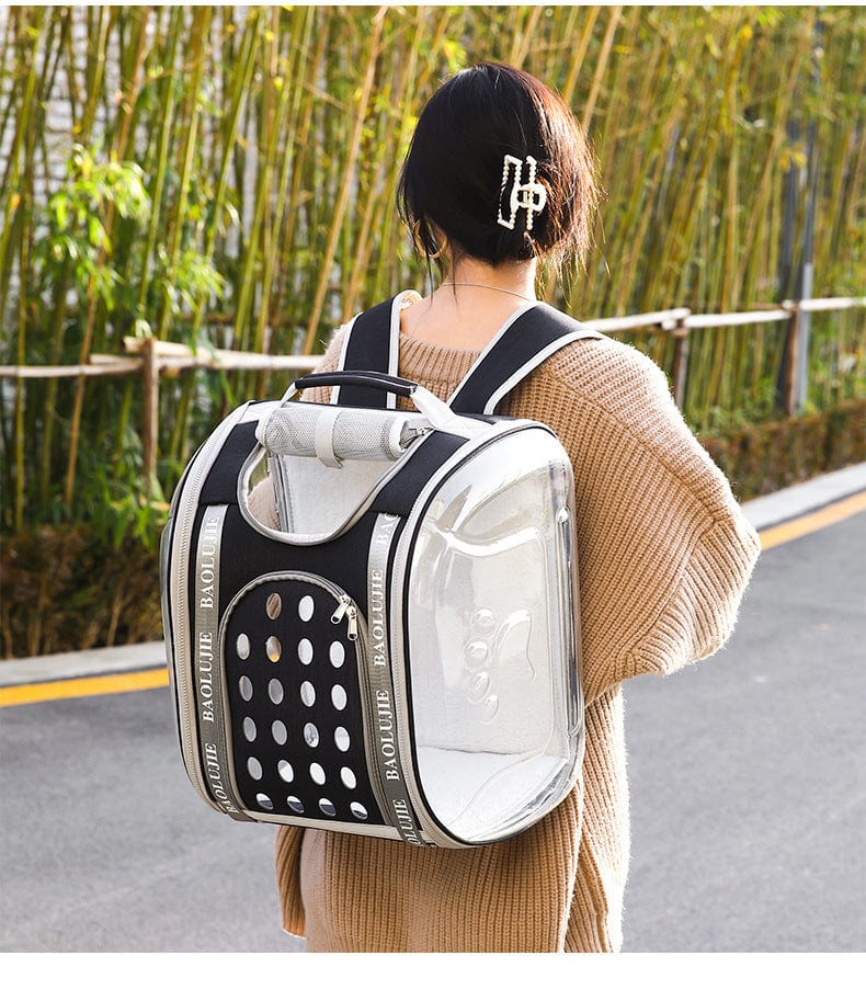 Sac à dos portable pour animaux, design spacieux et transparent, idéal pour chats et petits chiens en voyage.