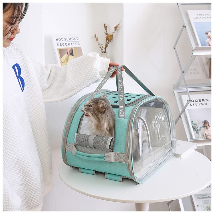 Sac à dos portable pour animaux avec un chat à l'intérieur, idéal pour le confort et la sécurité en voyage.