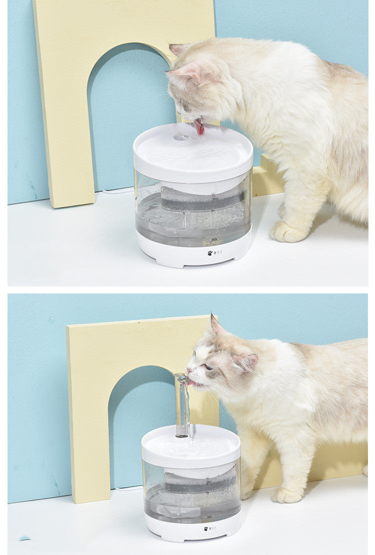 Distributeur d'eau automatique pour chats, offrant une source d'eau propre et fraîche.