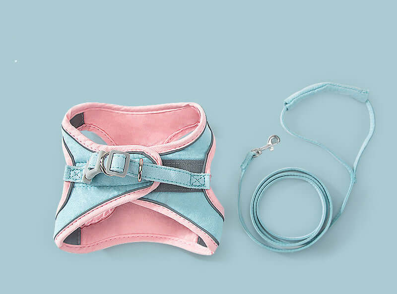 Harnais de traction pour chat en coton biologique, avec laisse assortie, pour des promenades sécurisées et confortables.