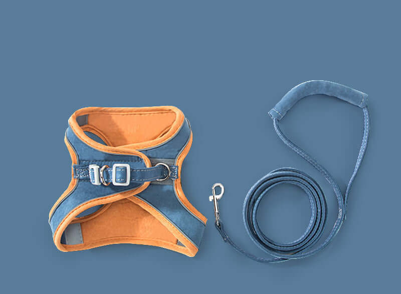 Harnais de traction pour chat en denim, orange et bleu, accompagné d'une laisse assortie.