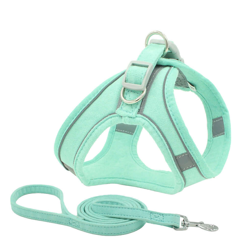 Harnais en suède réfléchissant vert menthe pour petits chiens avec laisse assortie.