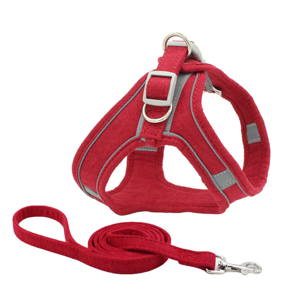 Harnais en suède rouge pour animaux avec réflecteur, accompagné d'une laisse assortie, idéal pour petits chiens et chats.