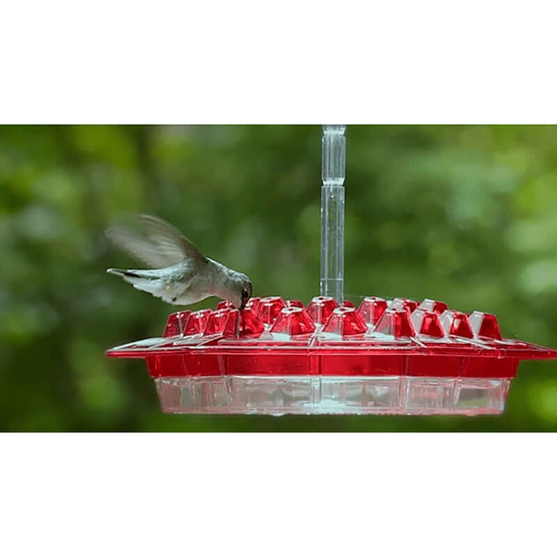 Voleur de colibris hexagonal rouge en plastique, attirant des colibris dans le jardin.