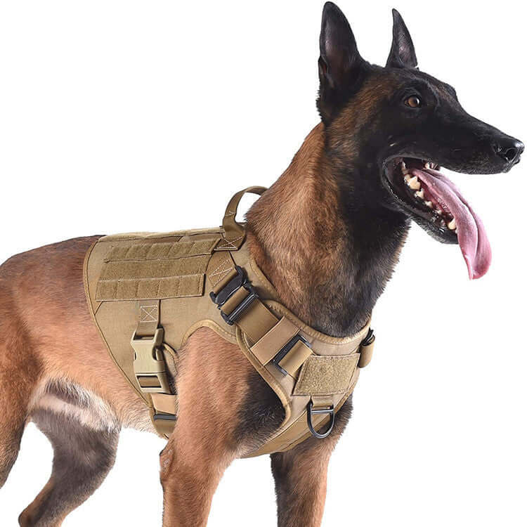 Harnais de sécurité tactique en nylon pour chien, idéal pour voyage et formation, couleur beige.