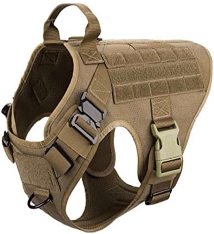 Ceinture de sécurité tactique pour chien en nylon 1000D, idéale pour chiens d'assistance et entraînement.