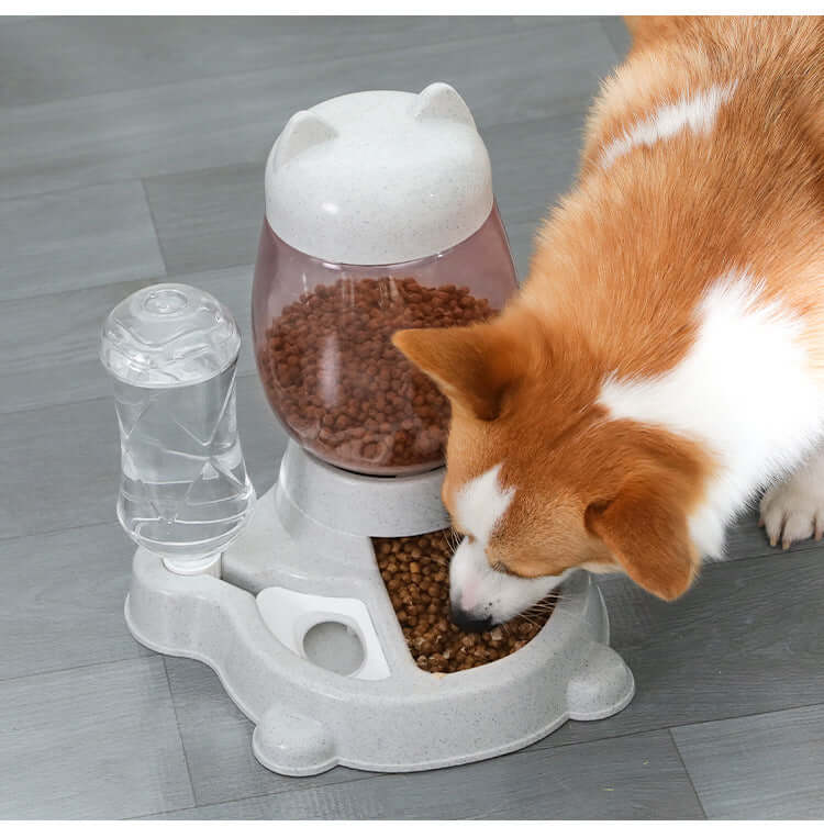 Distributeur automatique de nourriture et d'eau pour chiens, avec un Corgi en train de manger.