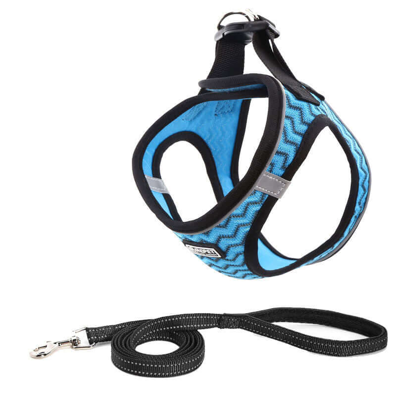 Harnais de poitrine pour chien bleu avec laisse, léger et respirant, parfait pour les promenades.