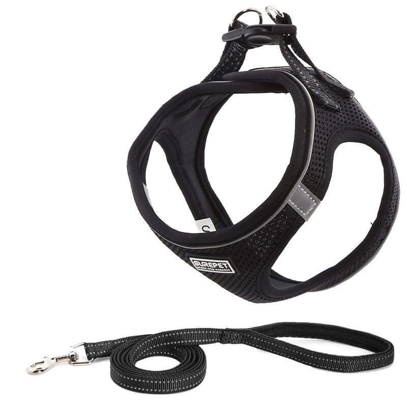 Harnais de poitrine pour chien noir avec laisse, léger et respirant, idéal pour promenades en toute sécurité.