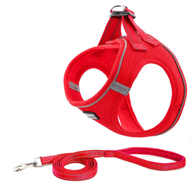Harnais de poitrine rouge pour chien avec laisse assortie, léger et respirant, idéal pour les promenades.