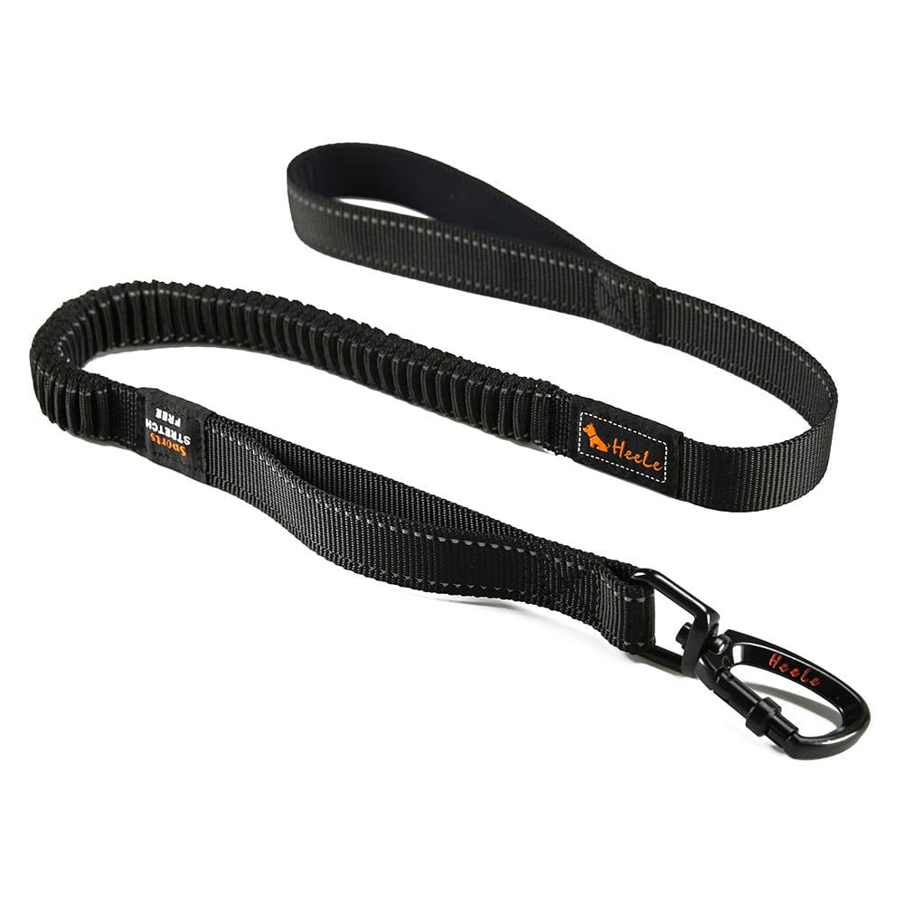 Laisse de chien réfléchissante Okinawa en nylon durable pour la sécurité lors des promenades.