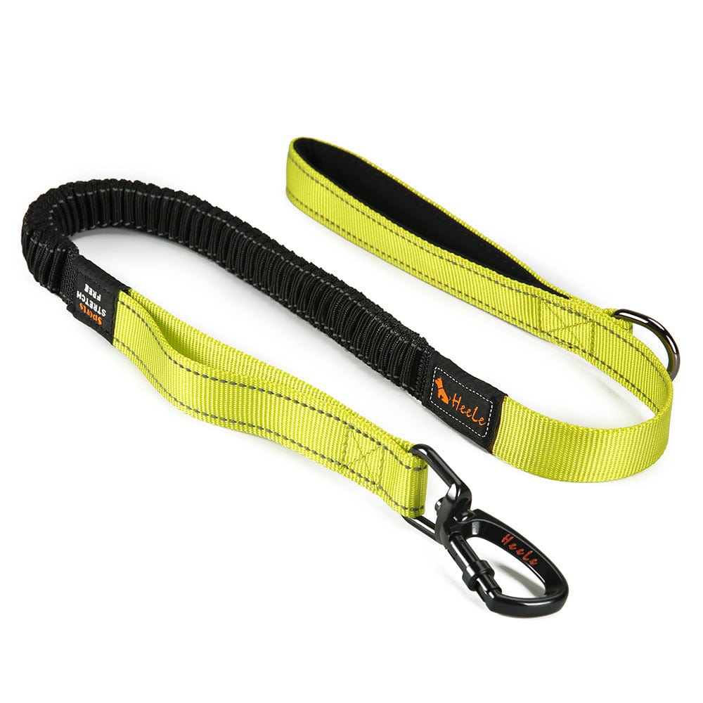 Laisse de chien réfléchissante Okinawa en nylon durable, idéale pour la sécurité et le confort lors des promenades.