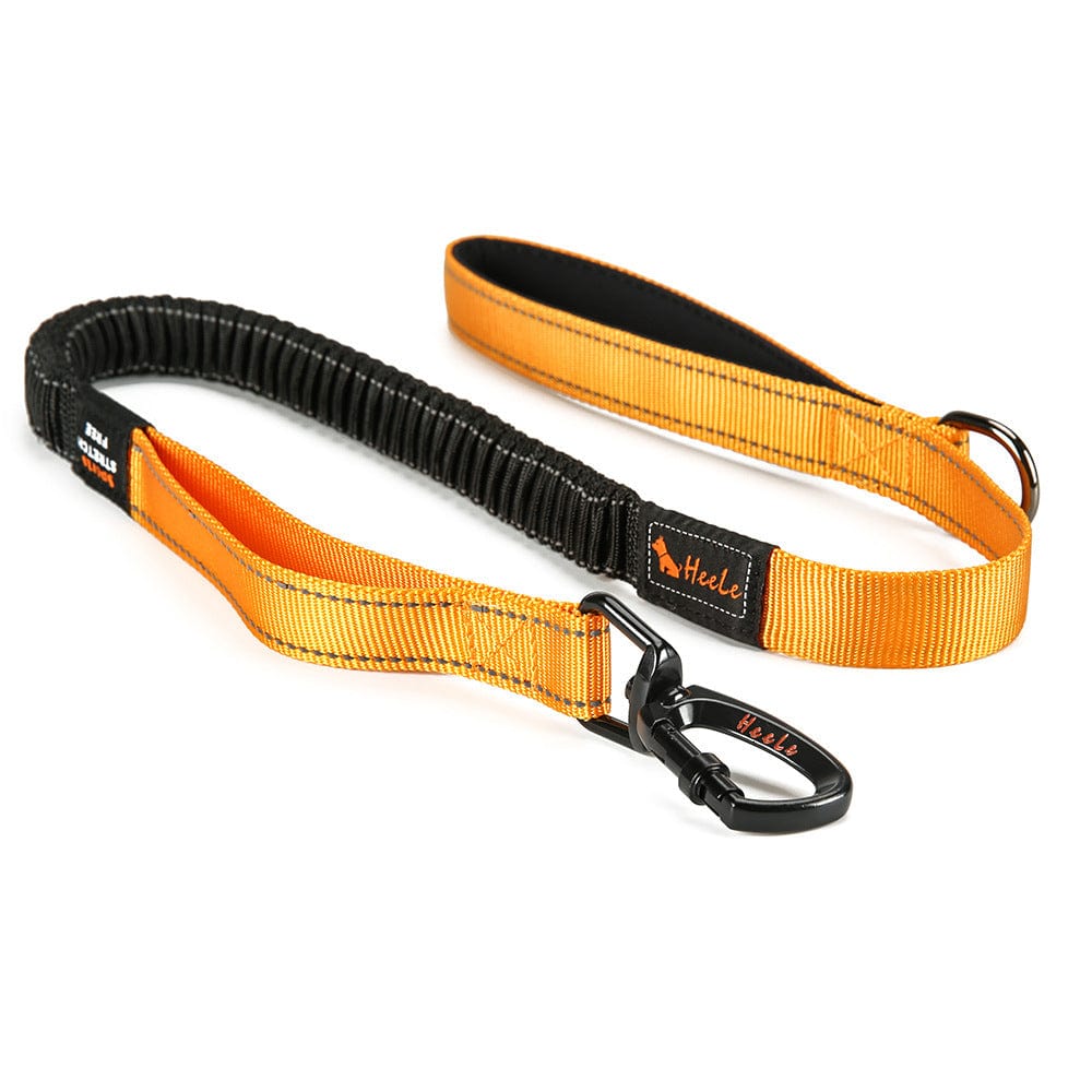 Laisse de chien réfléchissante Okinawa en nylon durable, idéale pour la sécurité lors des promenades.
