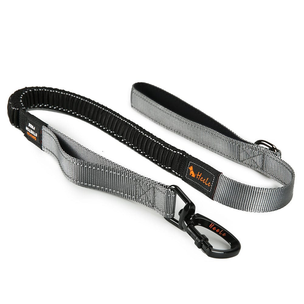 Laisse de chien réfléchissante Okinawa en nylon durable, idéale pour promenades sécurisées.